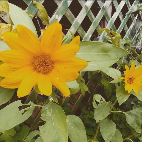 Meet your Posher, Alex - Picture 2 of 2